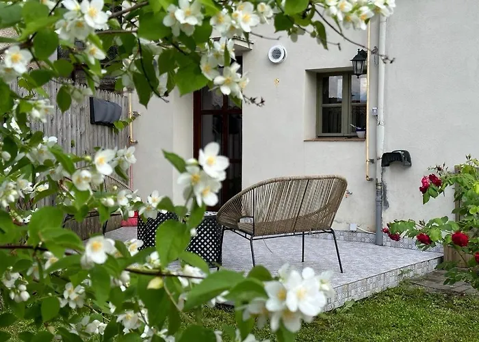 Drumul Poienii Lejlighed